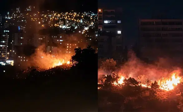 Kahramanmaraş'ta Ormanlık Alanda Yangın!