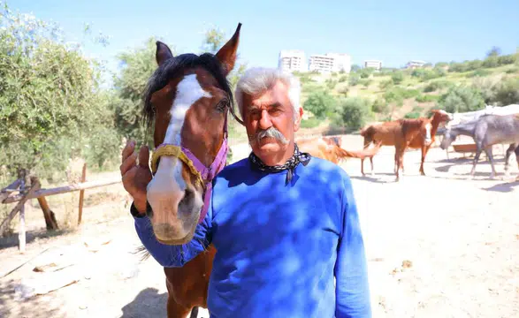 Kahramanmaraş'ta Kaçan Atlar Geceyi Birbirine Kattı!