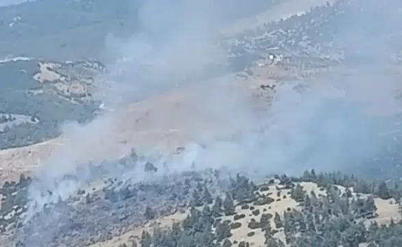 Kahramanmaraş'ta Orman Yangını Kontrol Altına Alındı