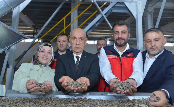 Kirişci, Afşin'de Nohut İşleme Tesisini İnceledi