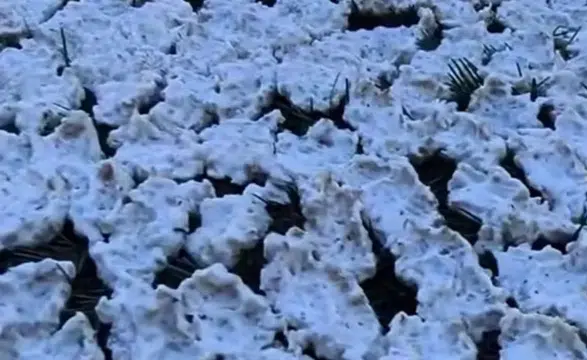 Andırın’da Kışlık Tarhana Mesaisi Başladı