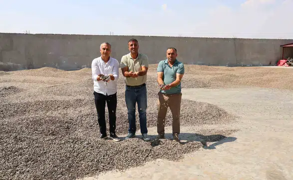 Kahramanmaraş’ta Çekirdek Hasadı Başladı
