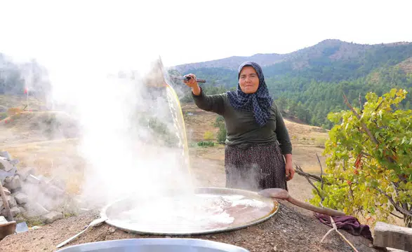 Ekinözü’nde Geleneksel Pekmez Mesaisi: Kilosu 800 Liradan