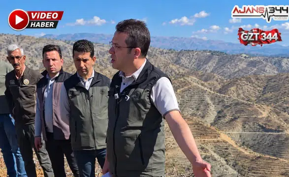 Cabaroğlu: "Yanan ağaçların değeri tamamen kaybolmuyor"