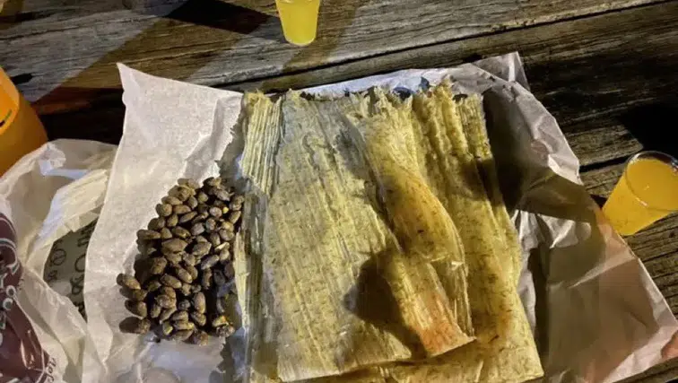 Kahramanmarş'ın Serinleten Lezzeti Firik Sofralara Döndü