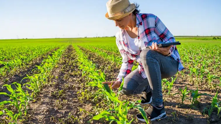 Çiftçiye büyük destek kapısı açıldı: Yüzde 70 hibe için başvurular başladı