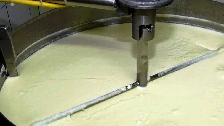 Süt Ürünleri Üretiminde Dev İvme: Yoğurt Üretimi Zirvede!