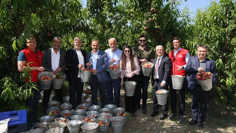 "Şeftali ve Nektarin İhracatında 250 Milyon Dolar Hedefi Belirlendi"