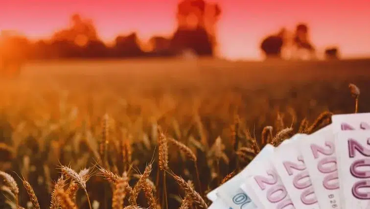 TMO'dan üreticiye 4,5 milyar TL'lik ödeme