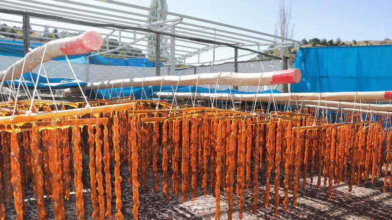 Depremzedelerin sucuk ve pestil telaşı