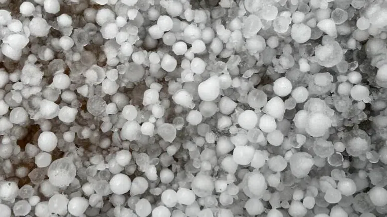 Afşin'de Dolu ve Sağanak Yağış Tarım Arazilerine Zarar Verdi