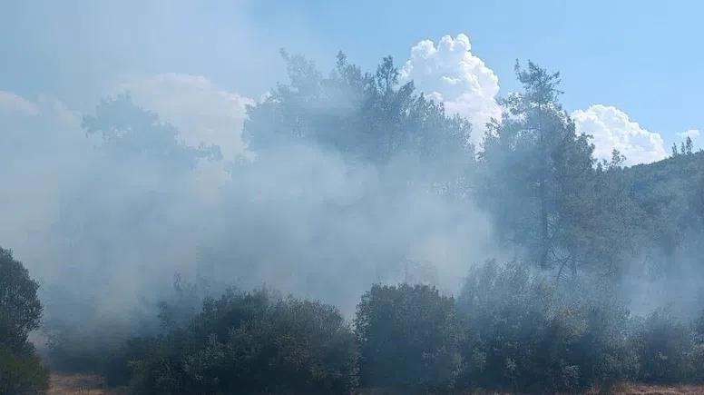 Andırın’da Orman Yangını Kısa Sürede Söndürüldü