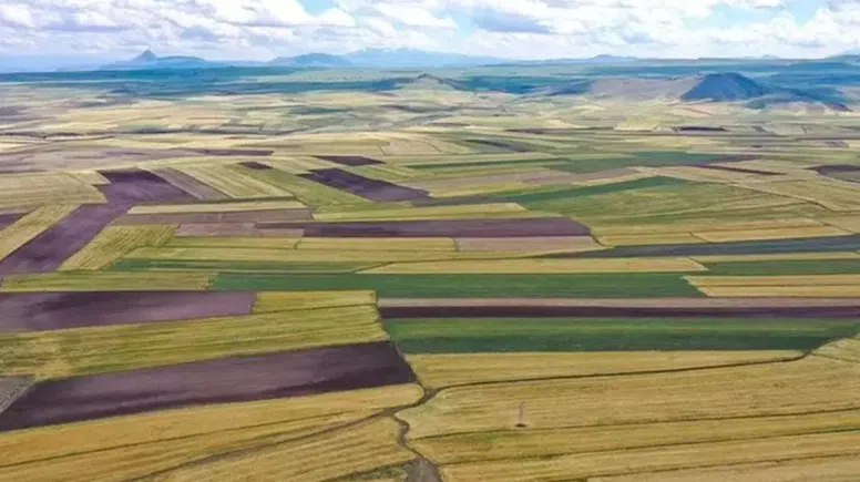 Göksun'da Hazine Arazileri İçin İhale Tarihi Belli Oldu