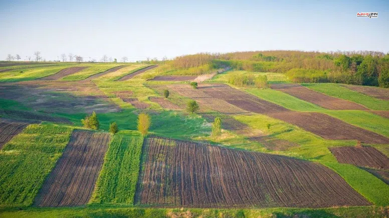 Göksun'da 1.375 m² tarla icradan satışta