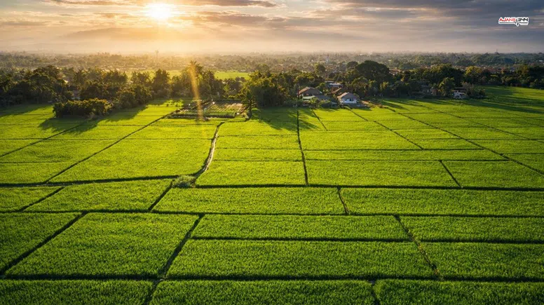 Dulkadiroğlu'nda  4 bin 303 metrekare tarla icradan satışta