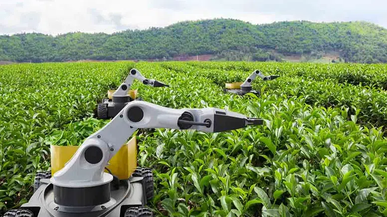 2026 'Kamusal Zekâ Yılı' İlan Edildi