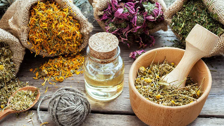 Toprakta kendiliğinden yetişiyor: Pek çok derde deva olduğu açıklandı!