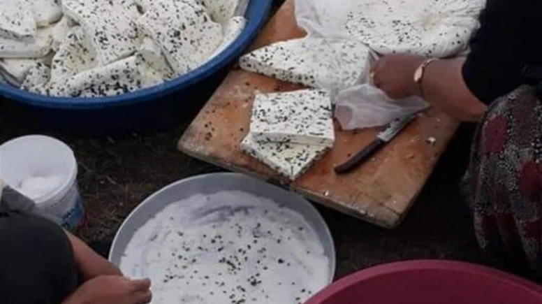 Turşu suyuyla mayalanıyor, soğuk sularda saklanıyor