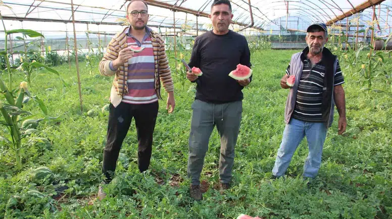 Çekirdek Karpuz Tezgahlarda Satışa Başladı