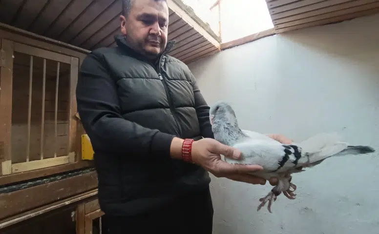 Kahramanmaraş'ta Memurluğu Bıraktı, Güvercinleri Otomobil Fiyatına Satıldı