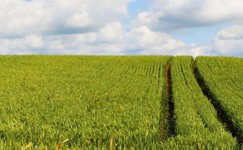 2,7 Dönümlük Arazi İçin İhale Süresi Başladı