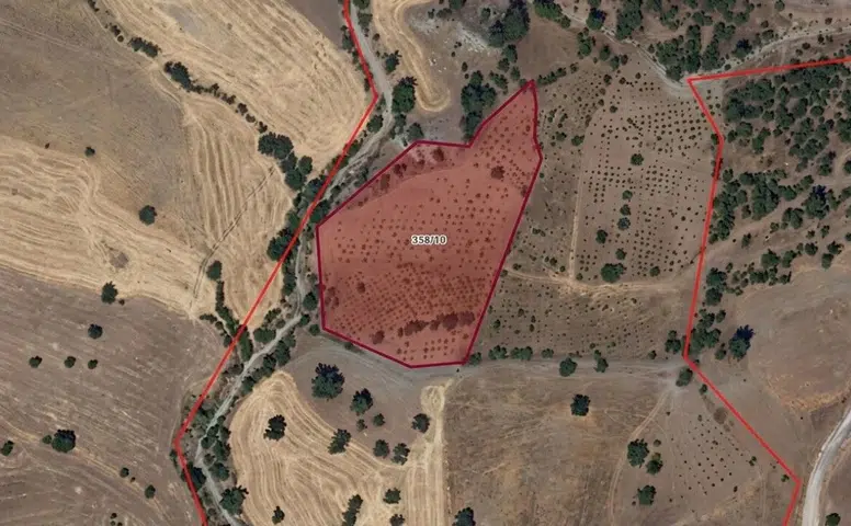 Pazarcık'ta Tarımsal Arazi İcrası 4,5 Milyon TL'den Başlıyor