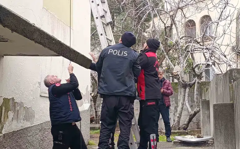 Çatıda Mahsur Kalan Kedi Ekiplerle Kurtarıldı