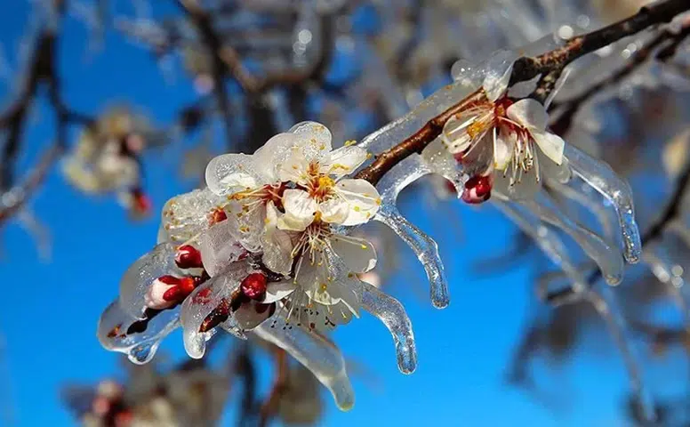 Uzmanlardan Acil Uyarı: Geceye Dikkat