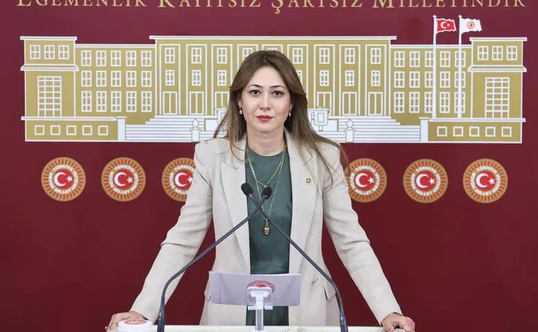 Vekil Karakoç TBMM’de Dijital Tehlikeye Dikkat Çekti