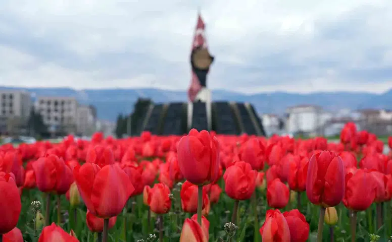 Bahar İçin Rengarenk Peyzaj Düzenlemeleri Yapıldı
