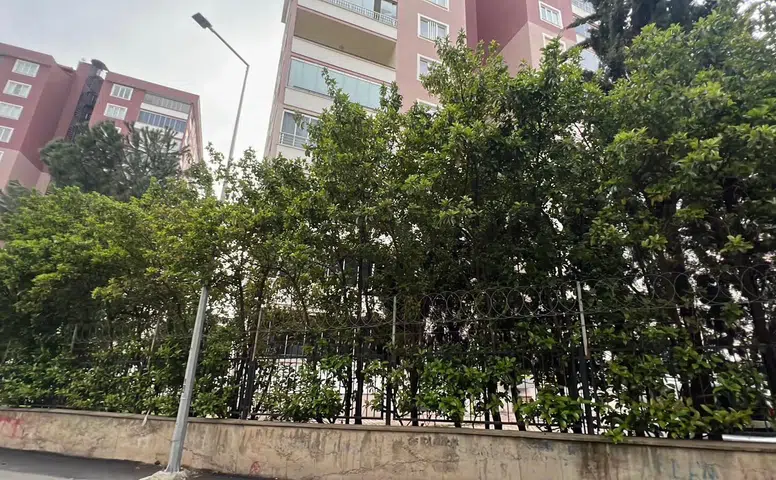 Soruşturma Derinleşti: Konutta İnceleme Yapıldı