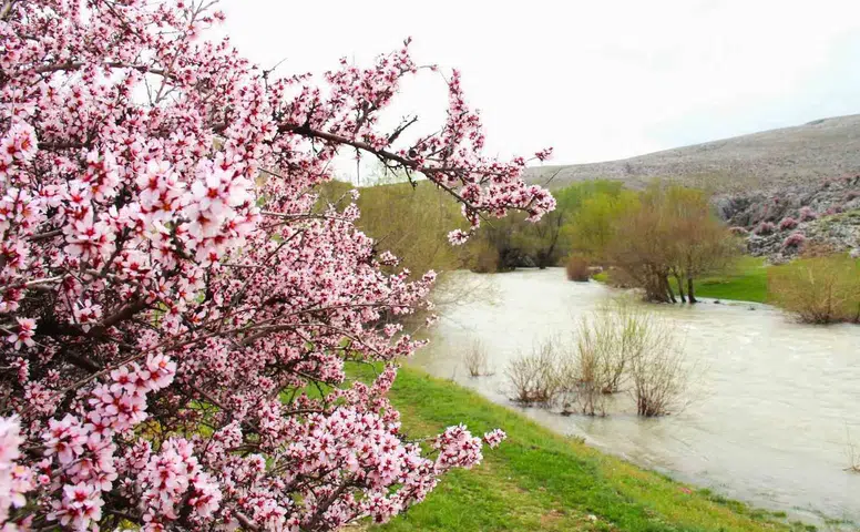 Hurman Çayı’nda Bahar Manzarası Görenleri Büyülüyor