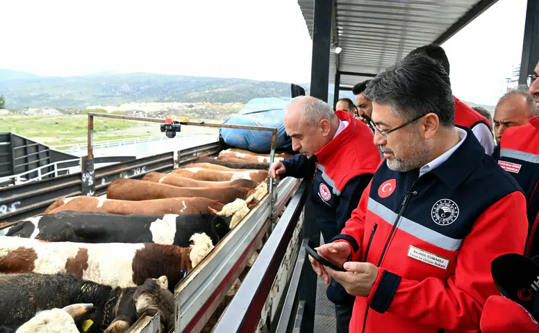 Tarım Bakanlığı'ndan kurbanlık hayvan denetimi: 7/24 kontrol süreci devam ediyor