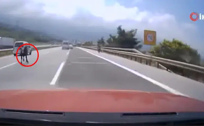 Otobanda Yola Fırlayan Angus Trafiği Felç Etti