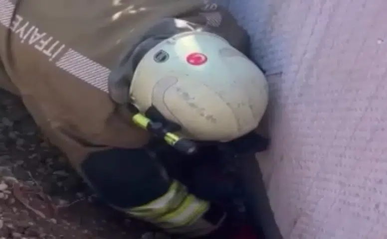 Moloz Altında Kalan Yavru Kedi Ekiplerce Kurtarıldı