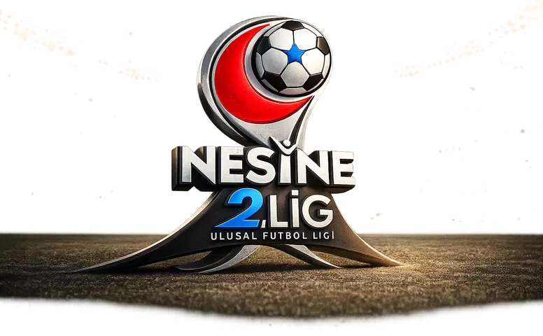 2. Lig'de Hangi Şehir Kaç Takımla Temsil Edilecek?