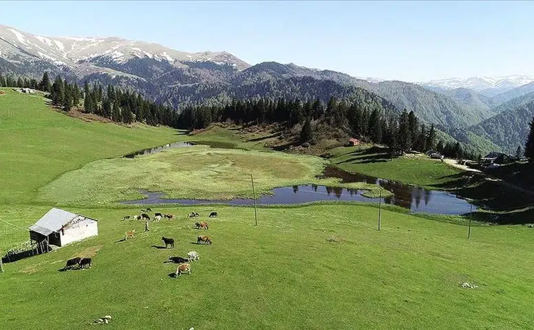 Kahramanmaraş'ta Yaz Sıcağıyla Yaylalar Hareketlendi