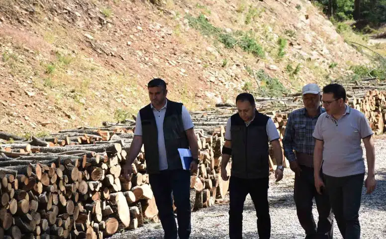 Yangın Tehlikesine Karşı Yol Temizliği Çalışmaları Başlatıldı