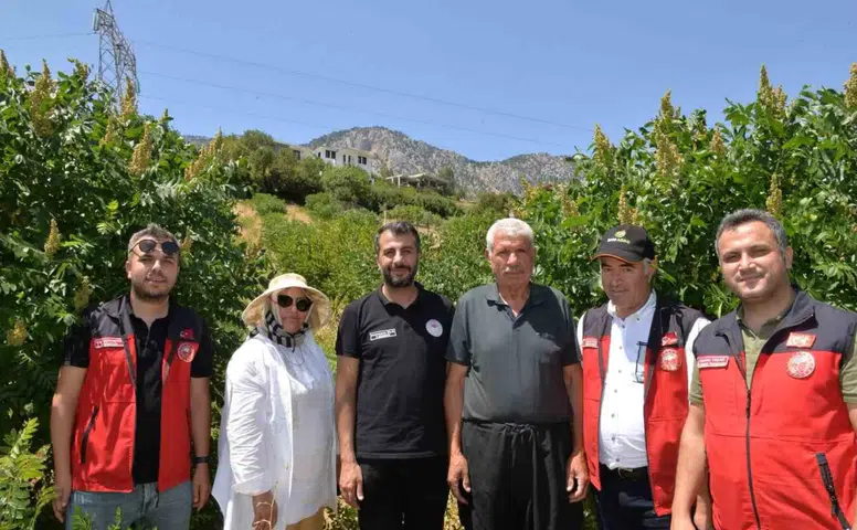 Kahramanmaraş'ta 22 Bin Sumak Fidanı Verime Geçti