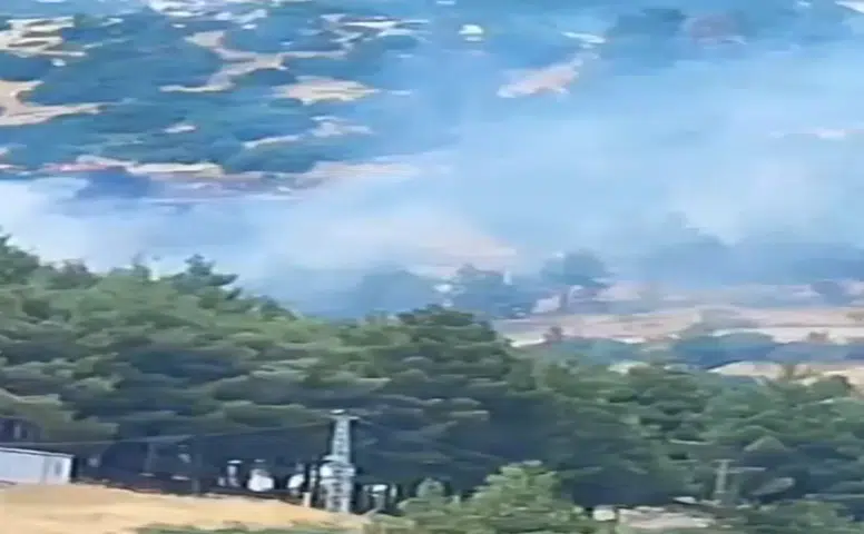 Kahramanmaraş Kuzey Çevre Yolu’nda Orman Yangını