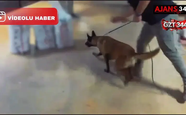 Kargodan 109 Kilo 300 Gram Yasaklı Madde Çıktı