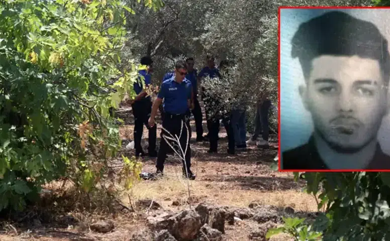 Antalya'da Zeytinlikte Elleri Bağlı Ceset Bulundu