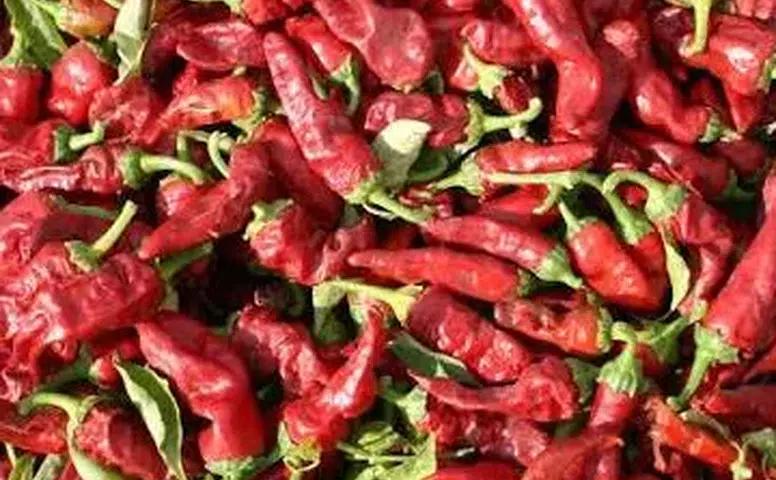 Acı Lezzetiyle Sofraları Süsleyen 'Maraş Biberi'ni Diğer Biberlerden Özel Kılan ne?
