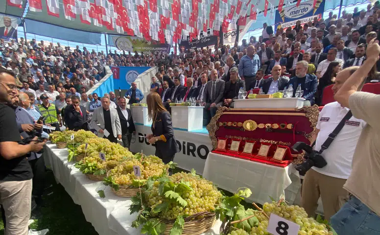 Bertiz’in En İyi Kabarcık Üzümü İçin Yarıştılar