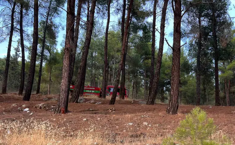 Kahramanmaraş’ta Orman Yangını: Havadan ve Karadan Müdahale