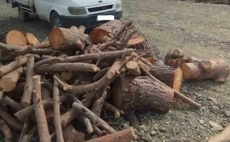 Kahramanmaraş’ta Kaçak Orman Emvali ve Nakil Aracına El Konuldu