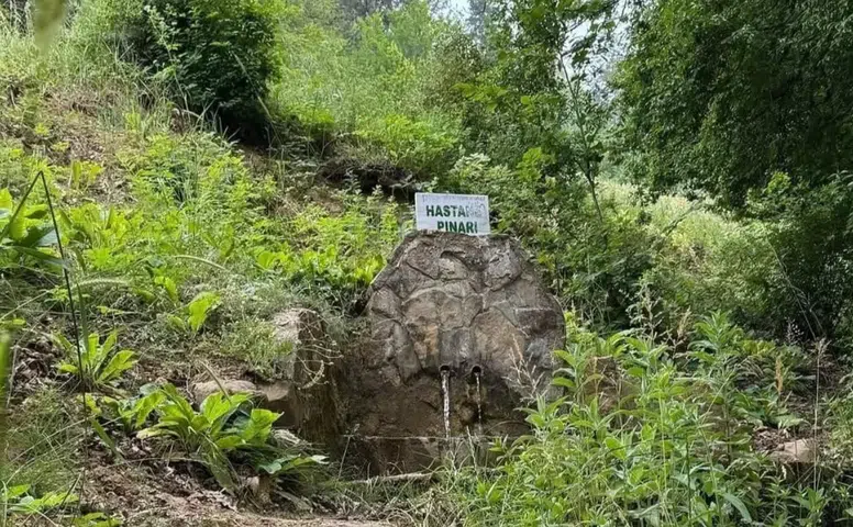 Andırın’ın Doğal Güzellikleri: Fındıklı Dere Ve Hastane Pınarı