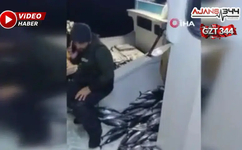 5 Bin Palamut Tekneye Sığmadı, Yardım Teknesi Geldi