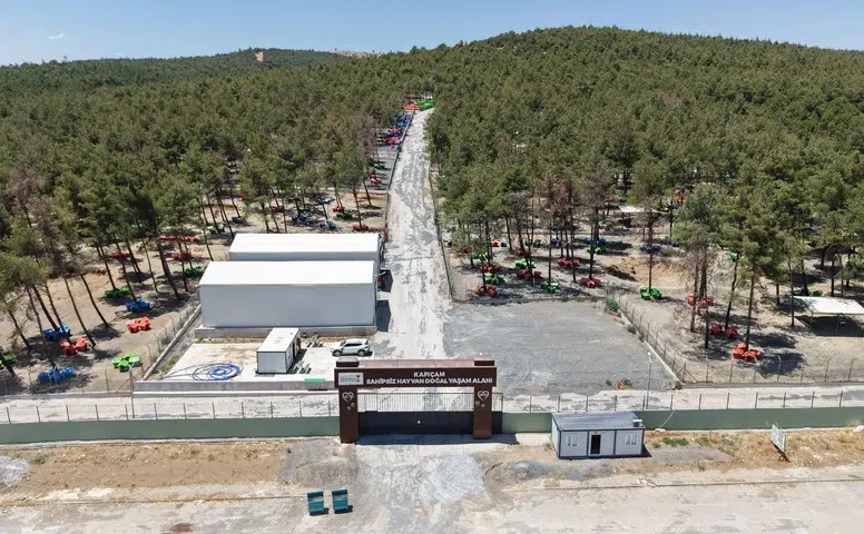 Kahramanmaraş'ta 5 Bin Sokak Hayvanına Güvenli Yaşam Alanı Sağlandı