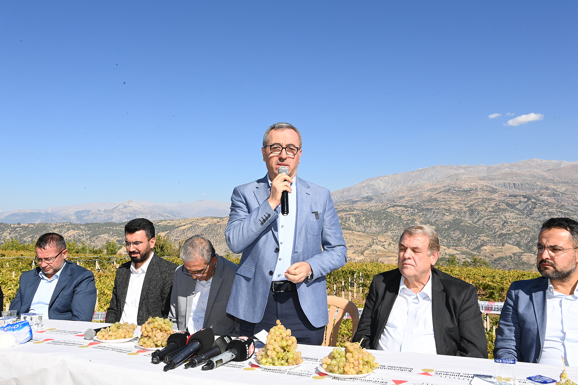 Bertiz Kabarcık Üzümü (3)